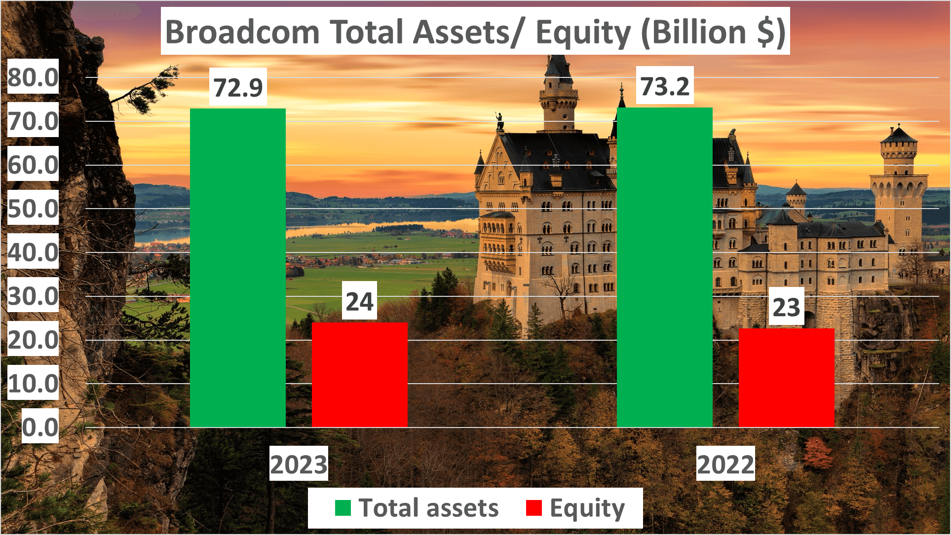 Broadcom Stock Analysis - 7 Total Assets